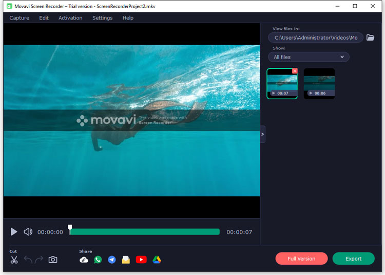 Movavi Screen Recorder interface