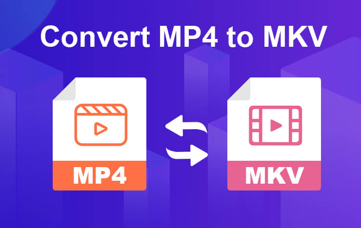 Convert MP4 to MKV