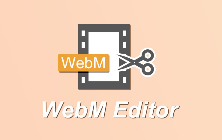 WebM editor